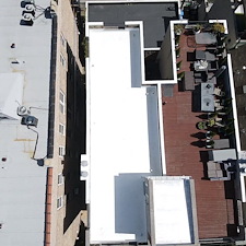 Is-My-Roof-Asking-for-Help-or-Am-I-Just-Ignoring-the-Warning-Signs 2